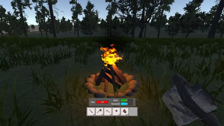 Скриншот 5 к игре Accursed Isle: Survival