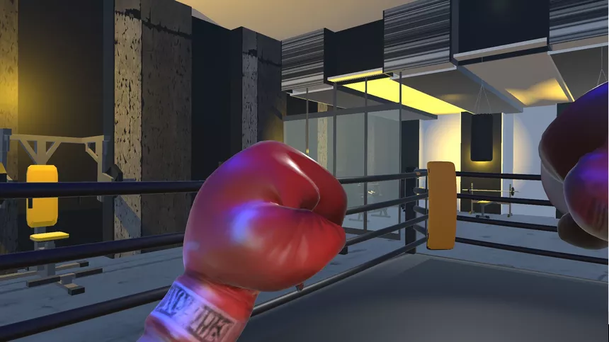 Скриншот 6 к игре Shuruka Boxing