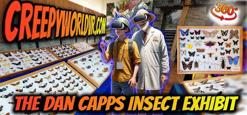 Скриншот 5 к игре Tony's Creepy Crawly Zoo 2.0
