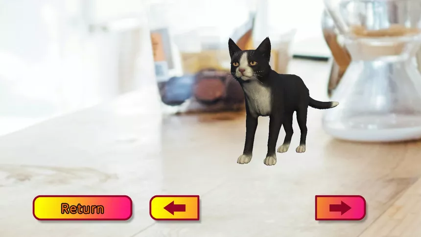 Скриншот 6 к игре CatShift