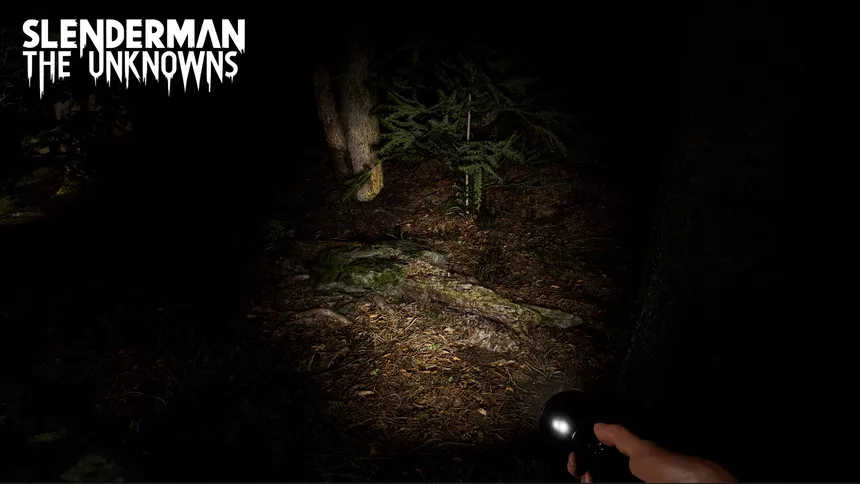 Скриншот 5 к игре Slenderman: The Unknowns