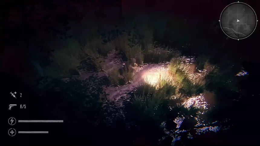 Скриншот 5 к игре The Silent Jungle