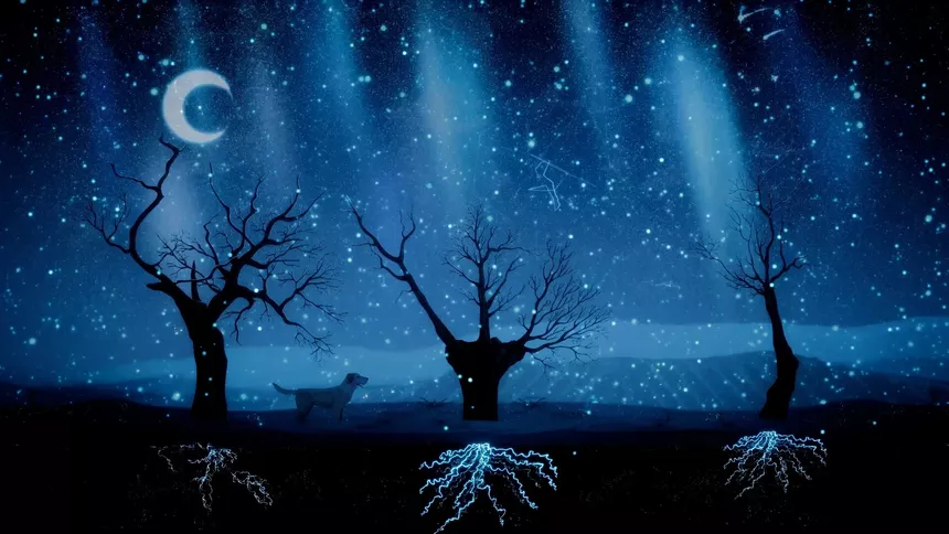Скриншот 5 к игре Treeplanter: Plant real trees🌲
