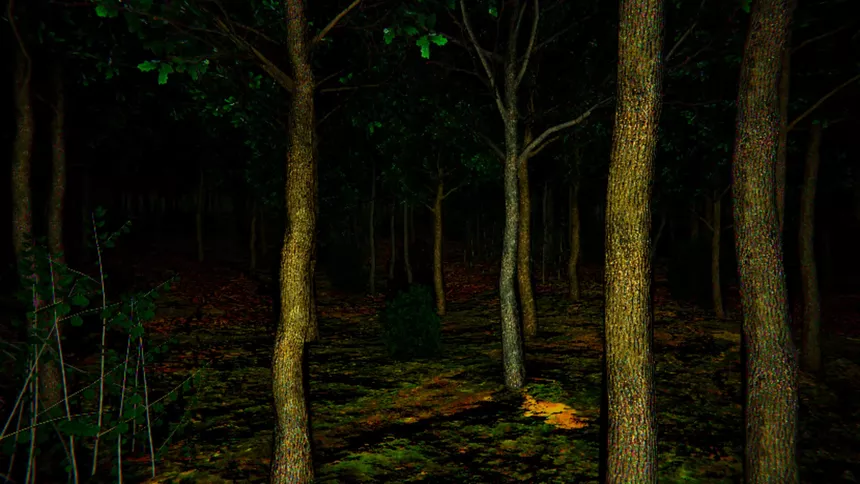 Скриншот 7 к игре Aokigahara :The death forest