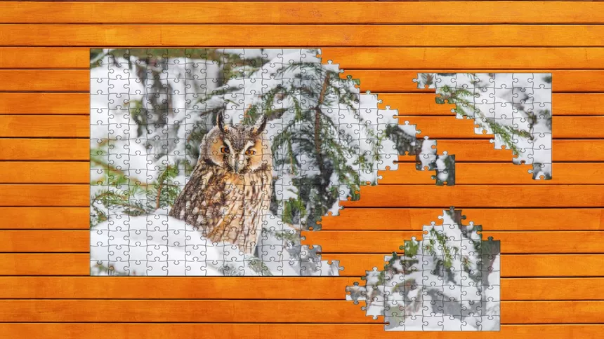 Скриншот 5 к игре Whispers of Wings Jigsaw Puzzles
