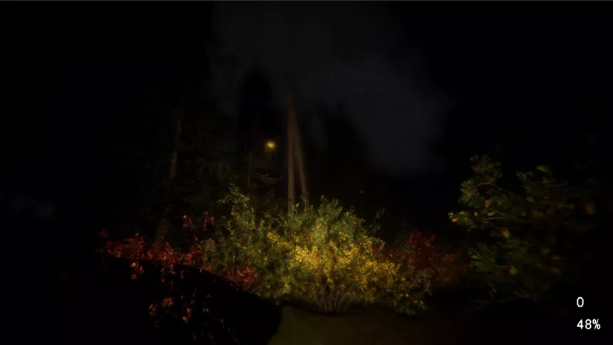 Скриншот 5 к игре Lost : Taboo Forest