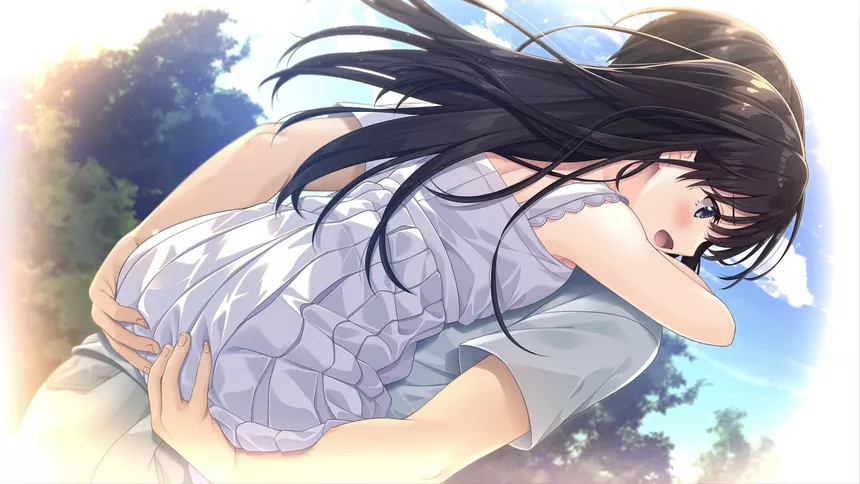 Скриншот 5 к игре Sickly Days and Summer Traces