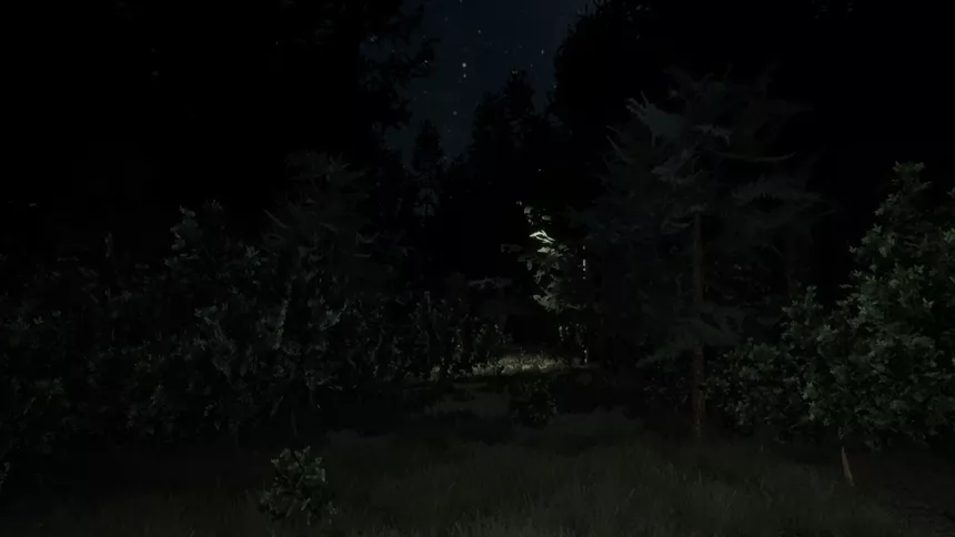 Скриншот 8 к игре Darkness in the Forest