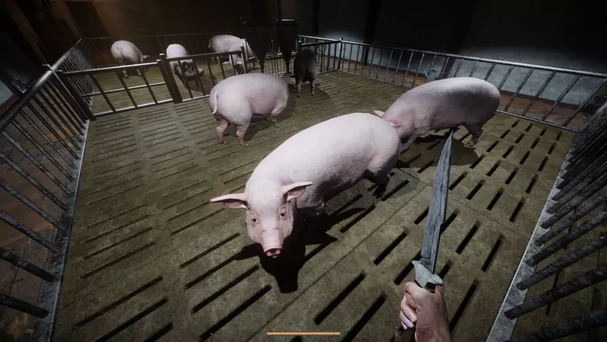 Скриншот 5 к игре Porcine Parasite