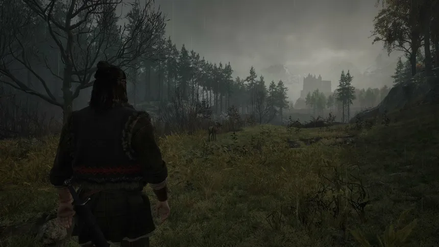 Скриншот 6 к игре The Blood of Dawnwalker