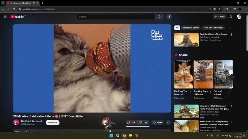 Скриншот 5 к игре Pawoki: Desktop Pets
