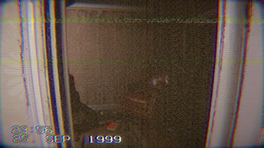 Скриншот 6 к игре Too Well Hidden