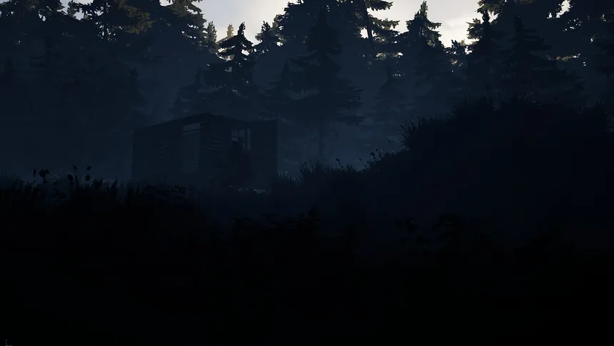 Скриншот 5 к игре 88 NIGHTS IN THE FOREST