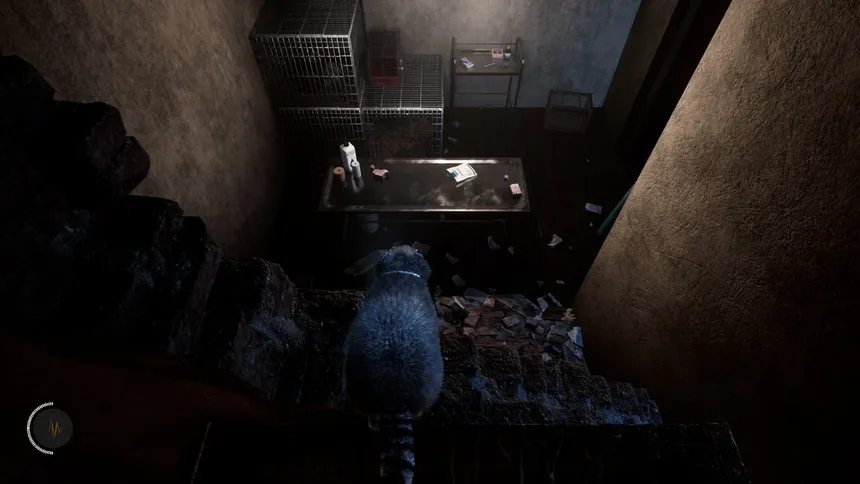 Скриншот 6 к игре The Last Raccoon