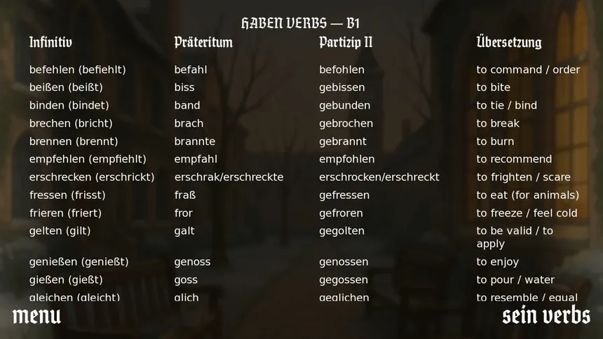 Скриншот 5 к игре VerbMeister