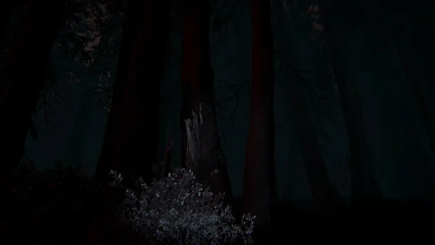 Скриншот 7 к игре Shroud of the Woods