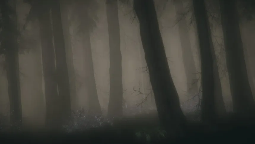 Скриншот 8 к игре Shroud of the Woods