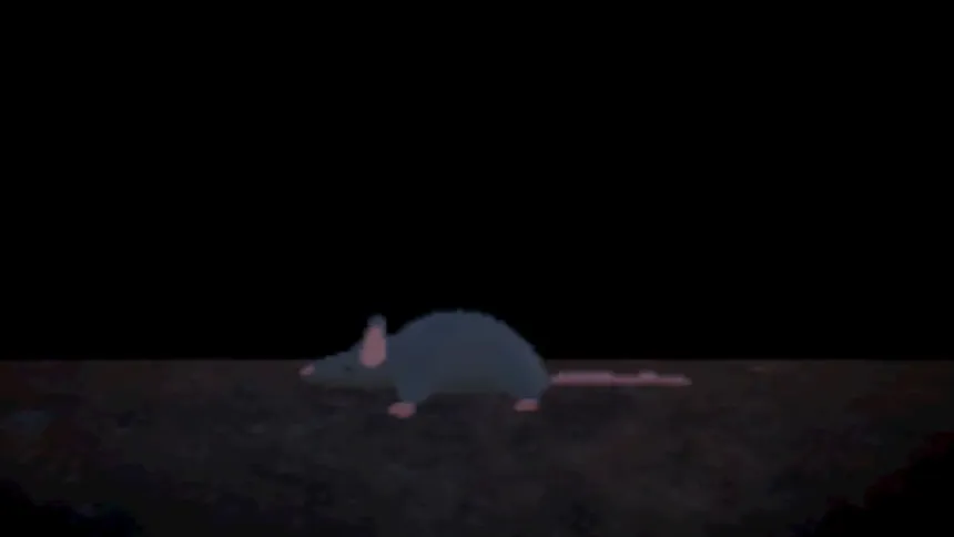Скриншот 6 к игре Ratfall