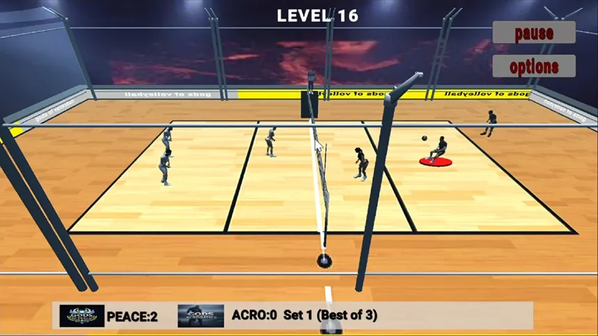 Скриншот 5 к игре GODS OF VOLLEYBALL