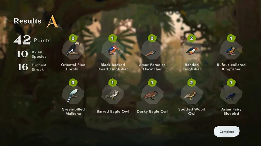Скриншот 7 к игре Junior Birder Adventure