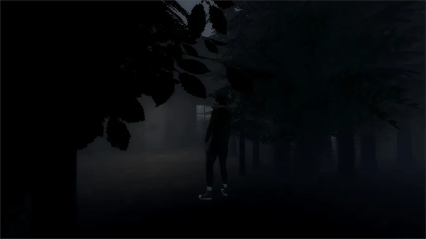 Скриншот 5 к игре Secrets Within Us