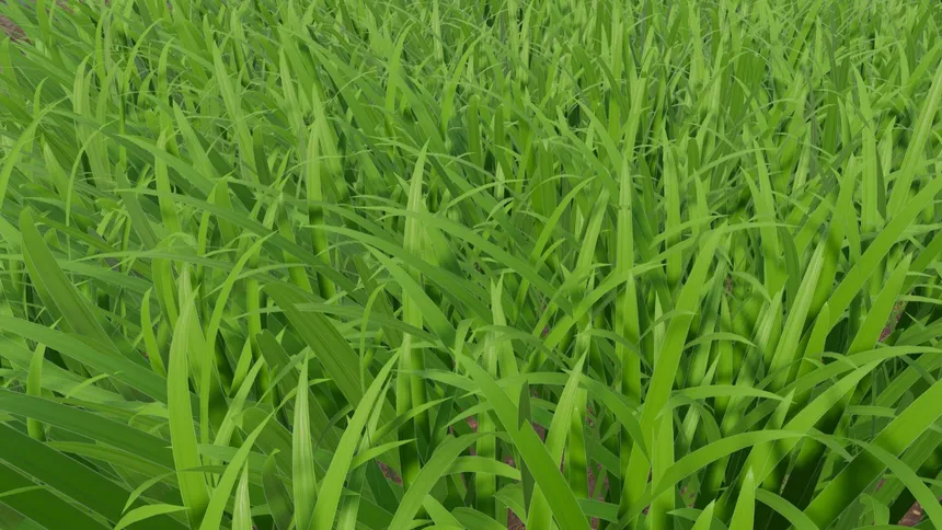 Скриншот 5 к игре Grass Cutting Simulator