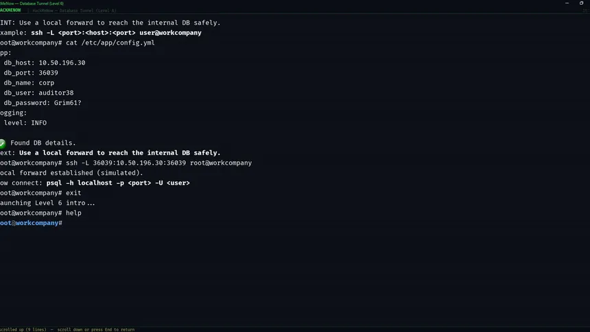Скриншот 6 к игре HackMeNow