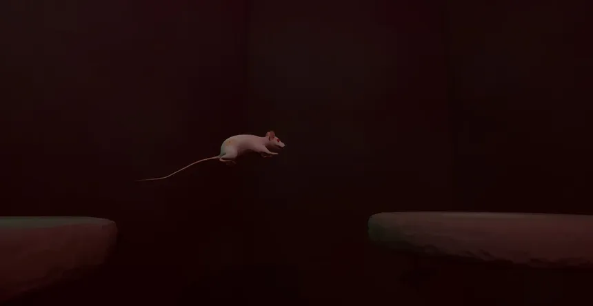 Скриншот 7 к игре Cheesty