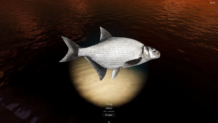 Скриншот 8 к игре Rogoz Fishing