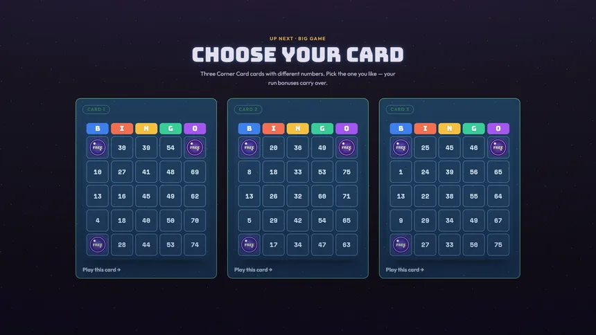 Скриншот 5 к игре Bango Bingo