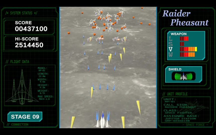 Скриншот 8 к игре Raider Pheasant