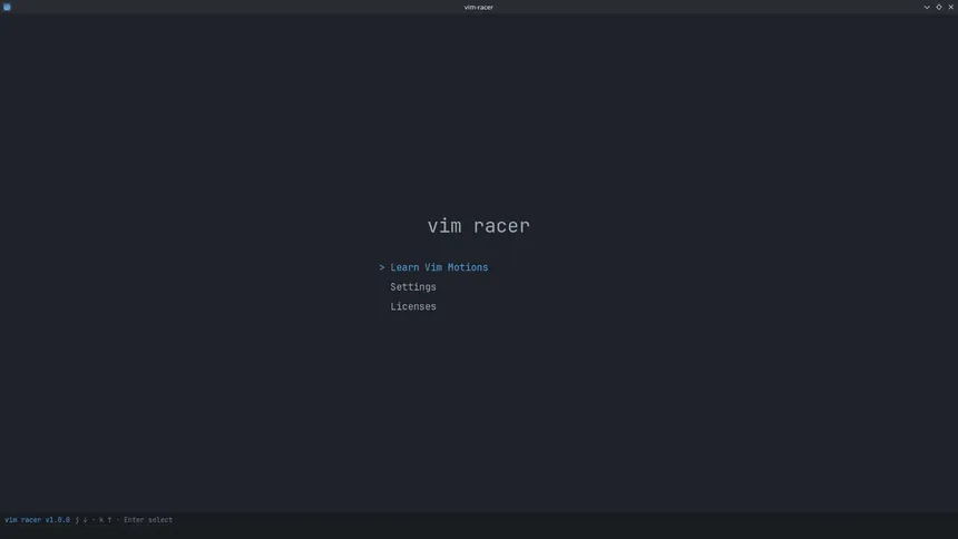 Скриншот 1 к игре vim racer