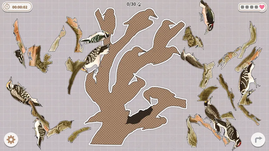 Скриншот 7 к игре Birds Huddled Together
