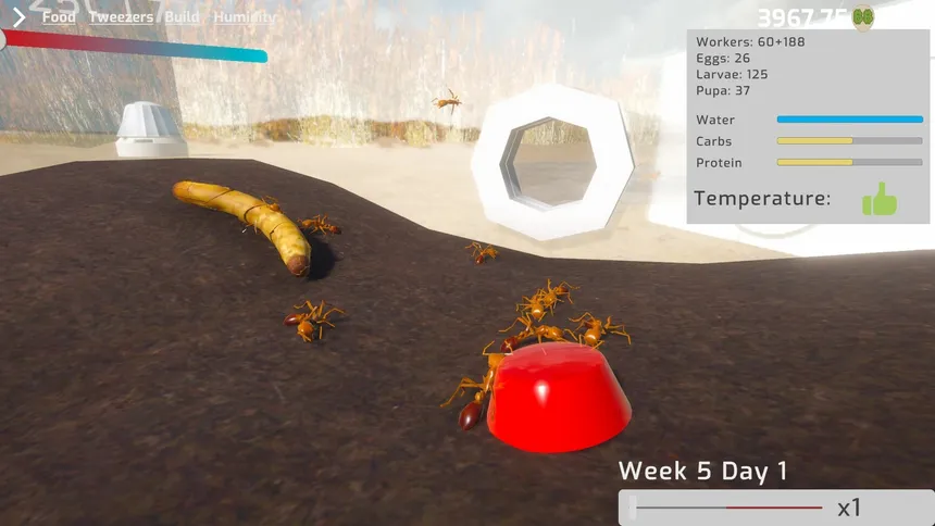 Скриншот 2 к игре Ant Keeping Simulator