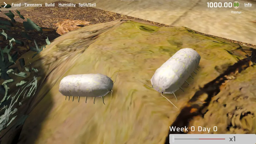 Скриншот 5 к игре Isopod Keeping Simulator