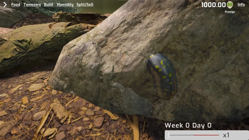Скриншот 8 к игре Isopod Keeping Simulator