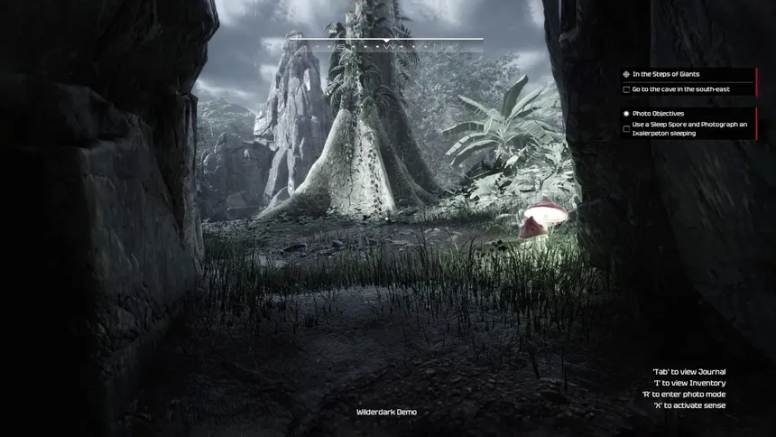 Скриншот 3 к игре Wilderdark