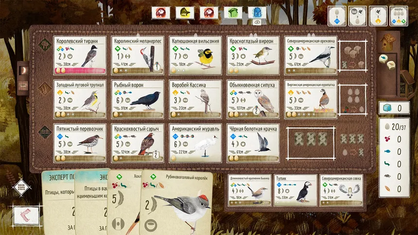 Скриншот 4 к игре WINGSPAN (КРЫЛЬЯ)
