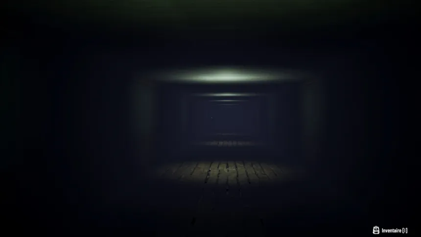 Скриншот 1 к игре In Silent Walls : Inside The House