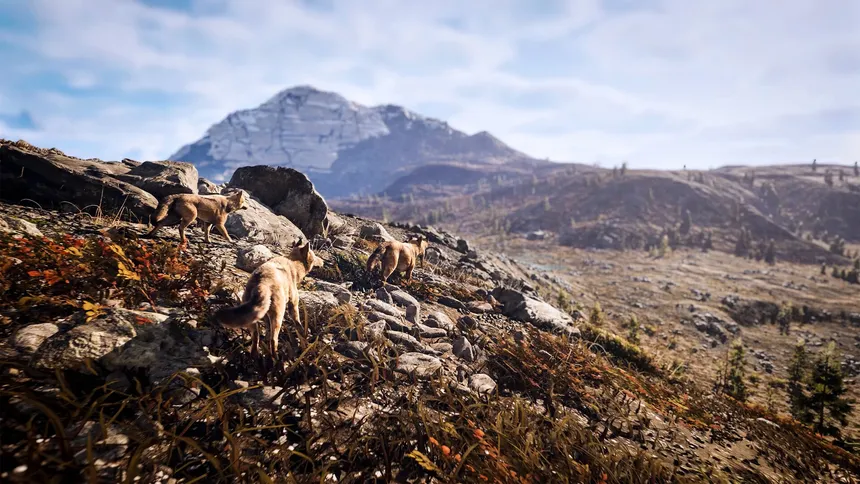 Скриншот 8 к игре Hunting Simulator 3