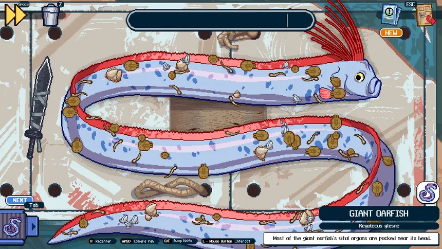Скриншот 7 к игре Scale the Depths