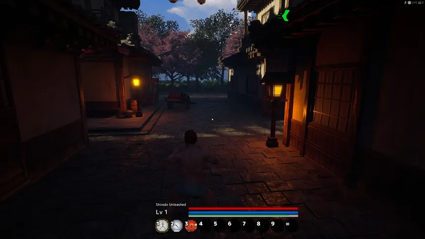 Скриншот 4 к игре Shinobi Unleashed