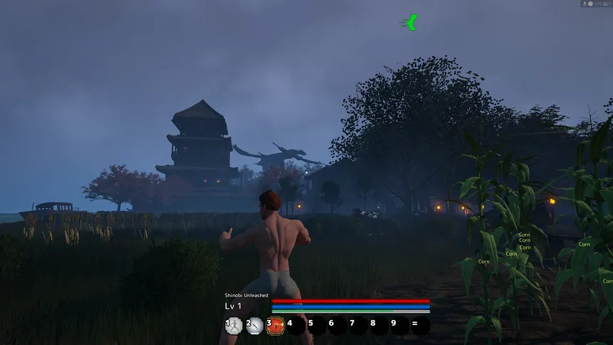 Скриншот 7 к игре Shinobi Unleashed