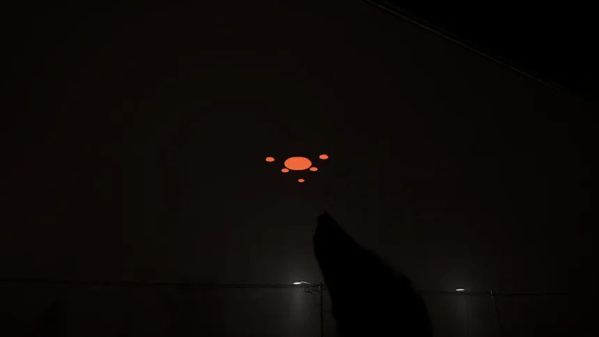 Скриншот 5 к игре Mothman: Shadows of Point Pleasant