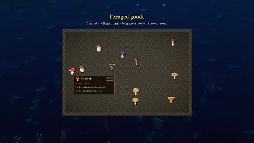 Скриншот 4 к игре Fjordal