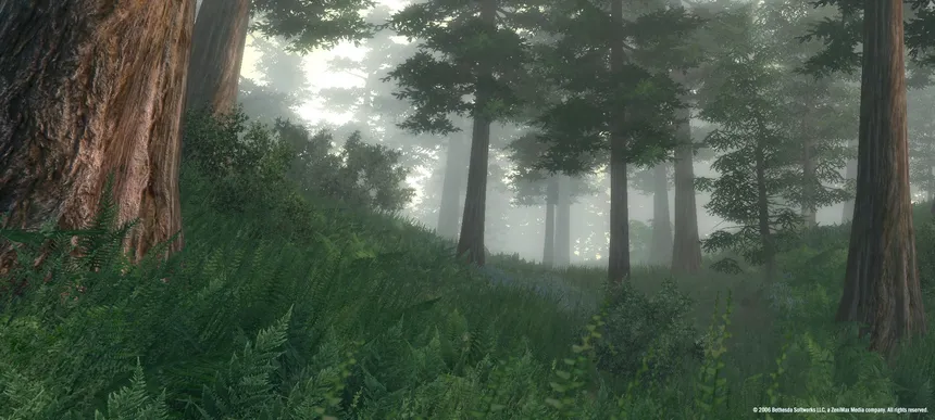 Скриншот 1 к игре The Elder Scrolls IV: Oblivion Game of the Year Edition (2009)