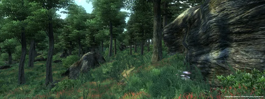 Скриншот 2 к игре The Elder Scrolls IV: Oblivion Game of the Year Edition (2009)