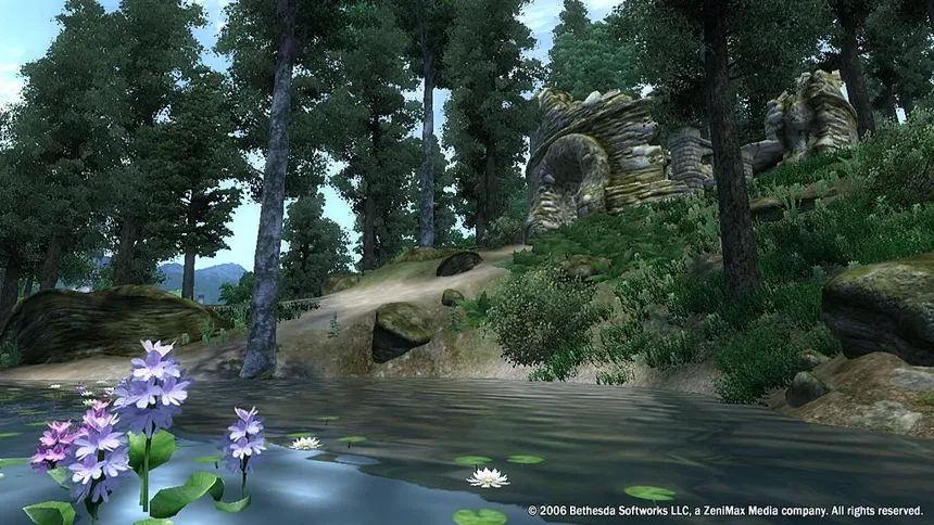 Скриншот 3 к игре The Elder Scrolls IV: Oblivion Game of the Year Edition (2009)