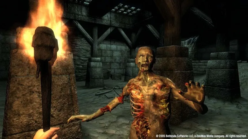 Скриншот 6 к игре The Elder Scrolls IV: Oblivion Game of the Year Edition (2009)