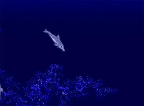 Скриншот 2 к игре Ecco the Dolphin